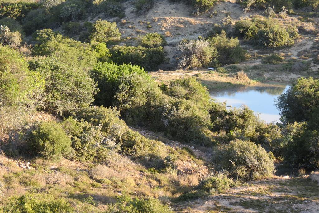 Kudu Ridge Game Lodge أدو المظهر الخارجي الصورة