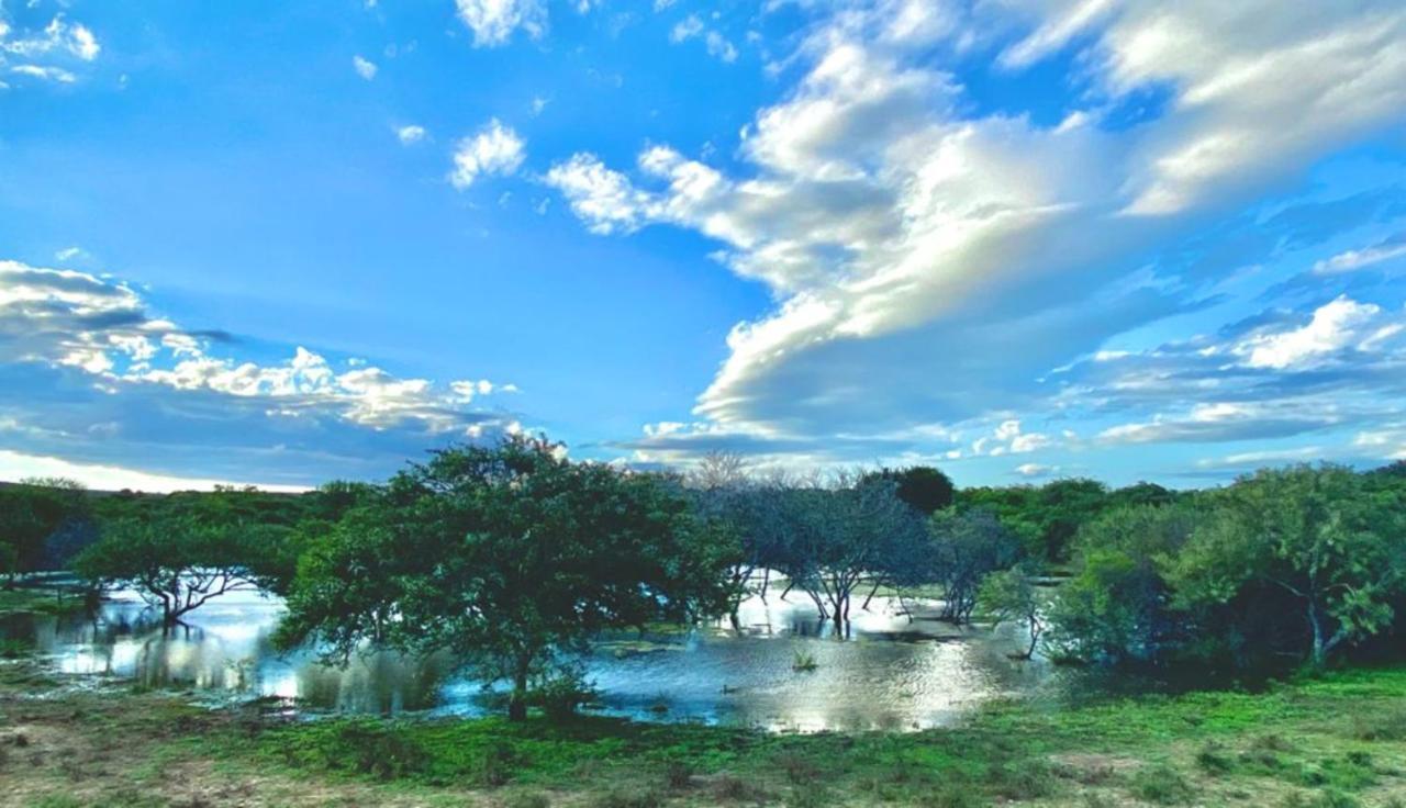 Kudu Ridge Game Lodge أدو المظهر الخارجي الصورة