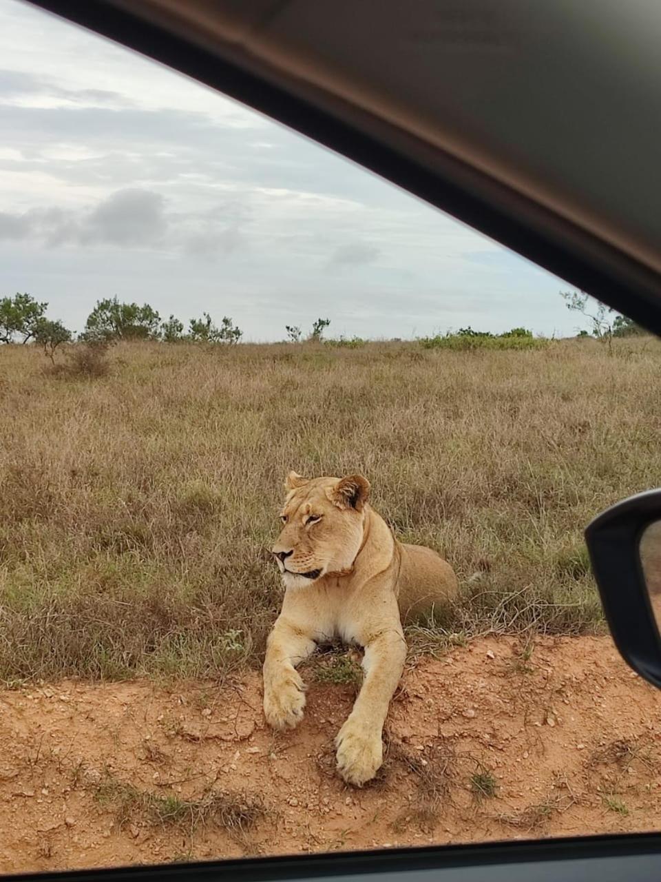 Kudu Ridge Game Lodge أدو المظهر الخارجي الصورة