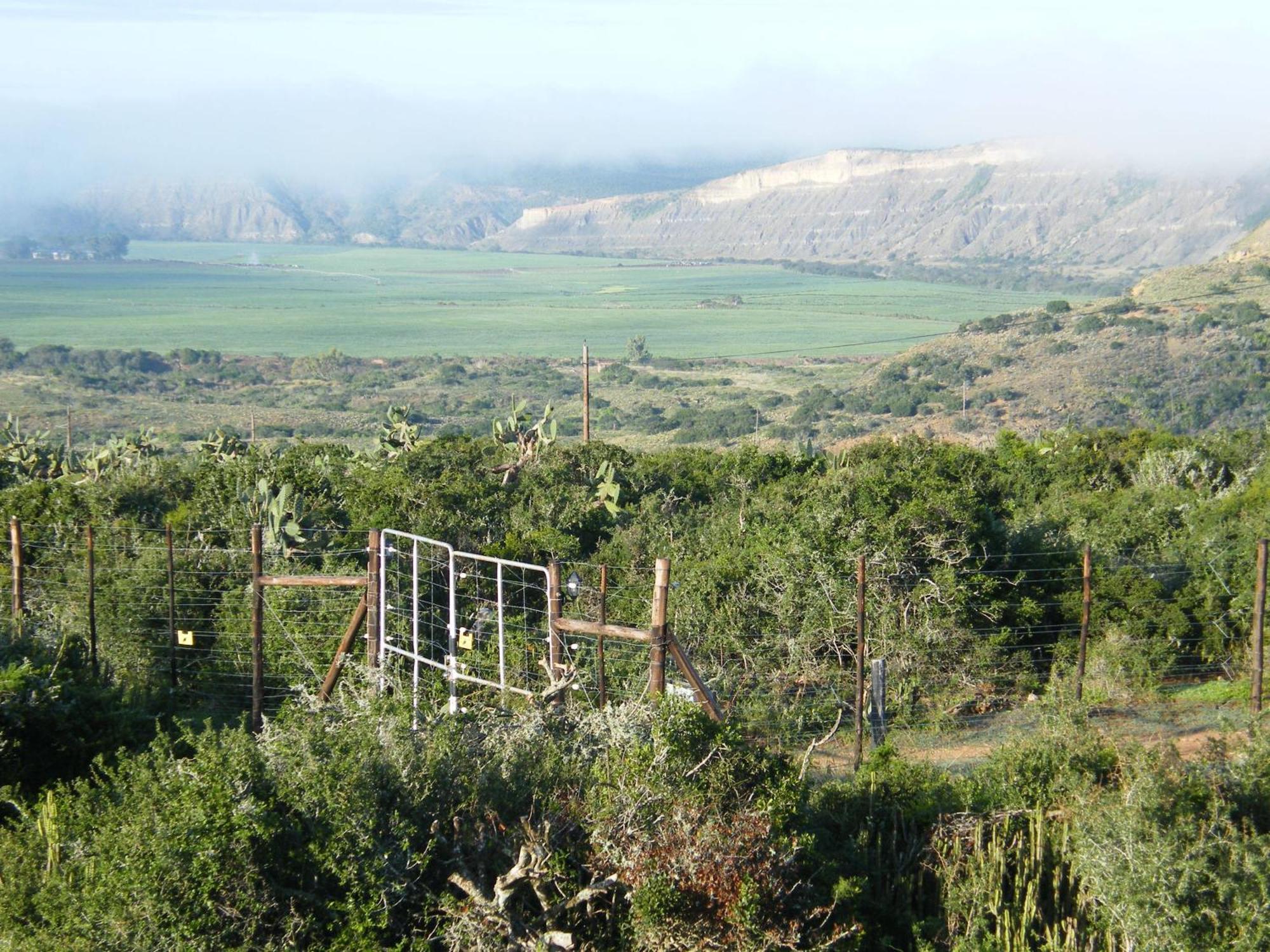 Kudu Ridge Game Lodge أدو المظهر الخارجي الصورة